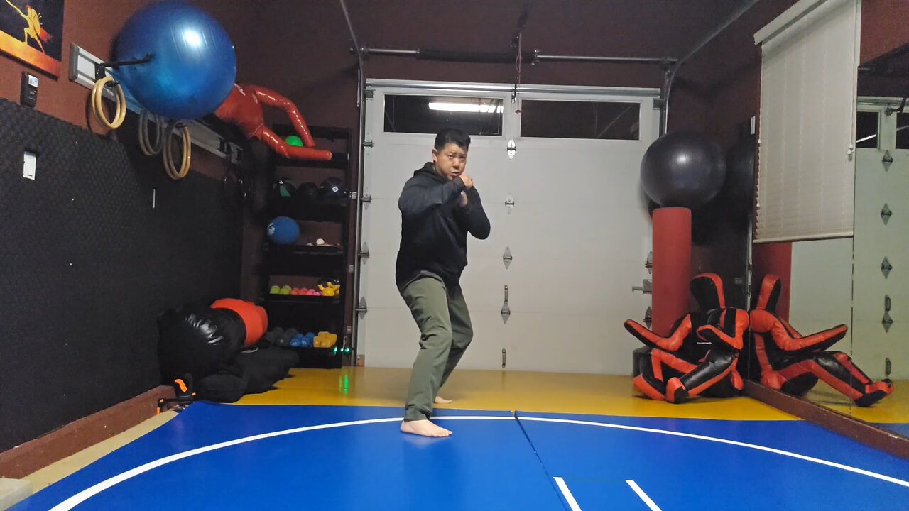 WTD 2 Step Kick Combination 112
