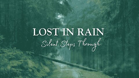 Lost in the Rainy Forest – A Soul-Soothing Music Journey