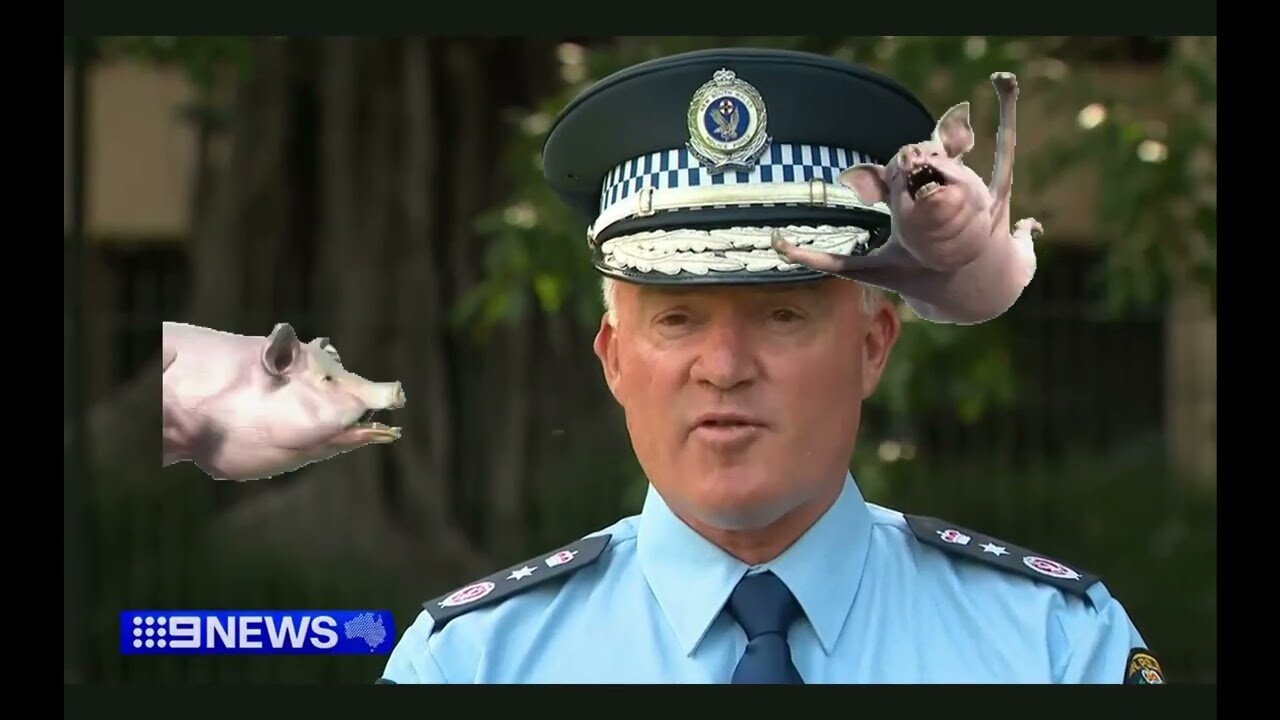 Australia New South Wales introduces more anti protest legislation into parliament