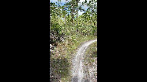 Halpatiokee Mountain Bike Trail
