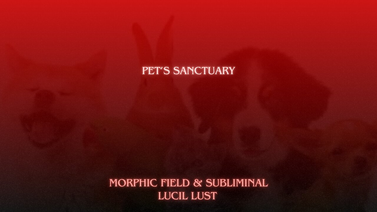 PET HEALING CHAMBER || SUBLIMINAL + MORPHIC FIELD