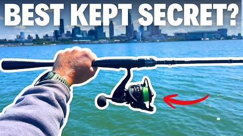 The Spinning Reel Nobody Is Talking About… But Should Be