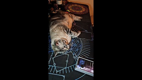 Move in Silence | Collective Reading — Their Tactics Failed, Your Blessings Protected 🔮