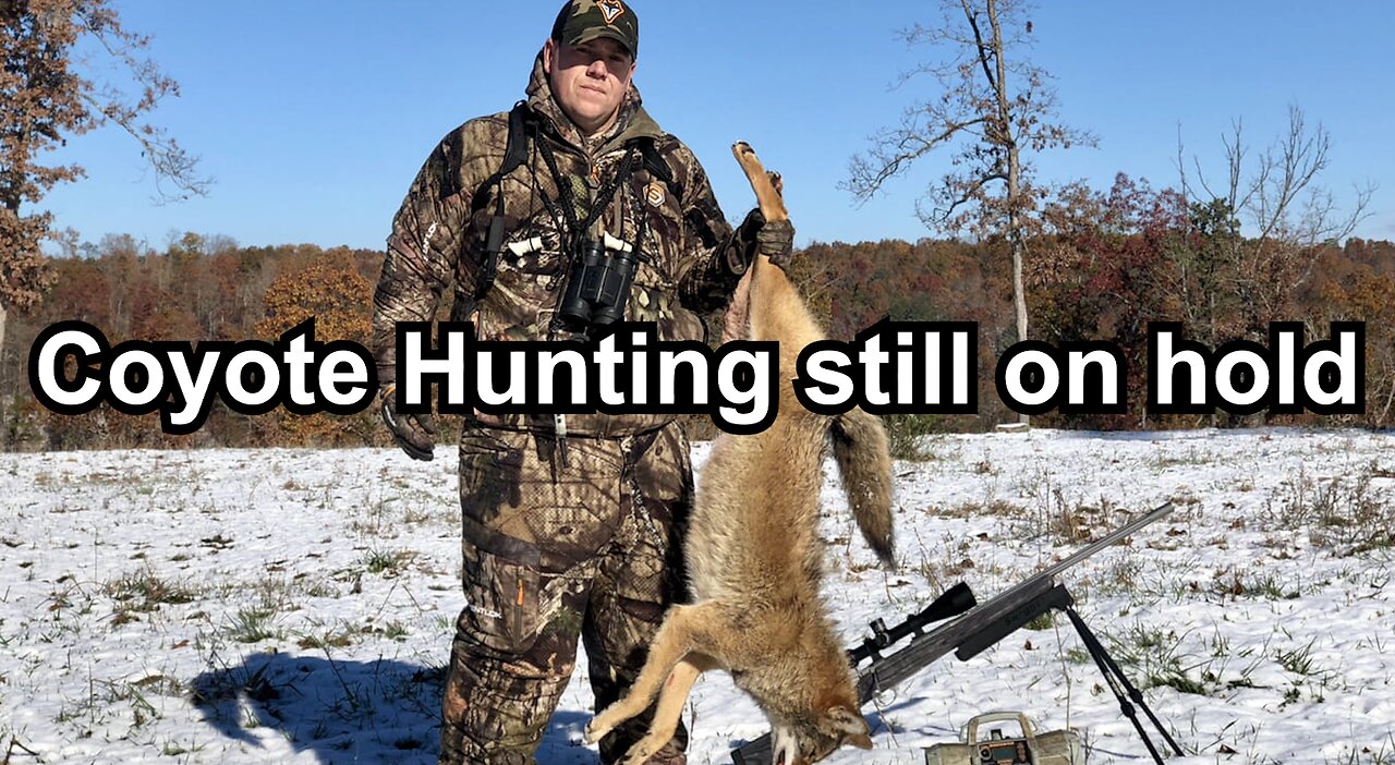 Coyote Hunting still on hold