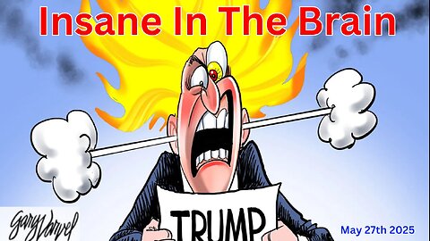 Insane In The Brain