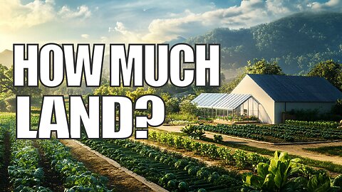HOW MUCH LAND to Feed Your Family When SHTF