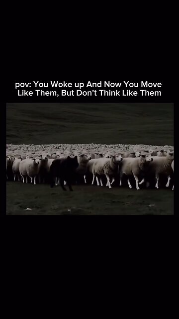 Move "Unnoticed" While Maintaining HIGHER Awareness 👁️