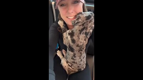 From puppy cuddles to a forever cuddle buddy 💖