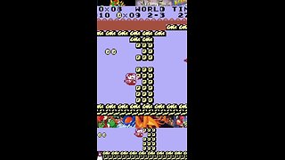 Mario Land: Dragonzamasu!