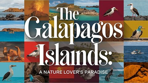 Discovering the Enchanted Isles: A Journey to the Galápagos