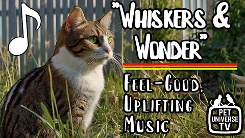 🔥 NEW SONG: "Whiskers & Wonder" - a Feel Good Lighthearted Folk Song 🎵