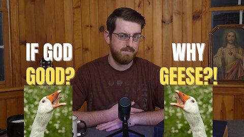 The Problem of Evil... and Geese?