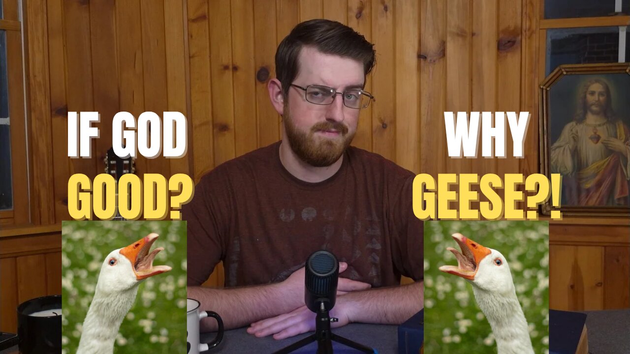 The Problem of Evil... and Geese?