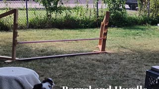 Circuit Training afternoon short 3