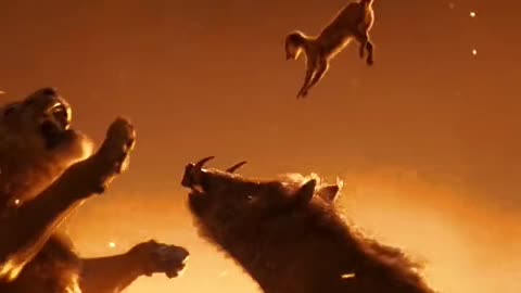 Mufasa 😍❤️ (Part - 4).....#reels #viralreels #reel #mufasa #animation #lastest #romantic #viralreel