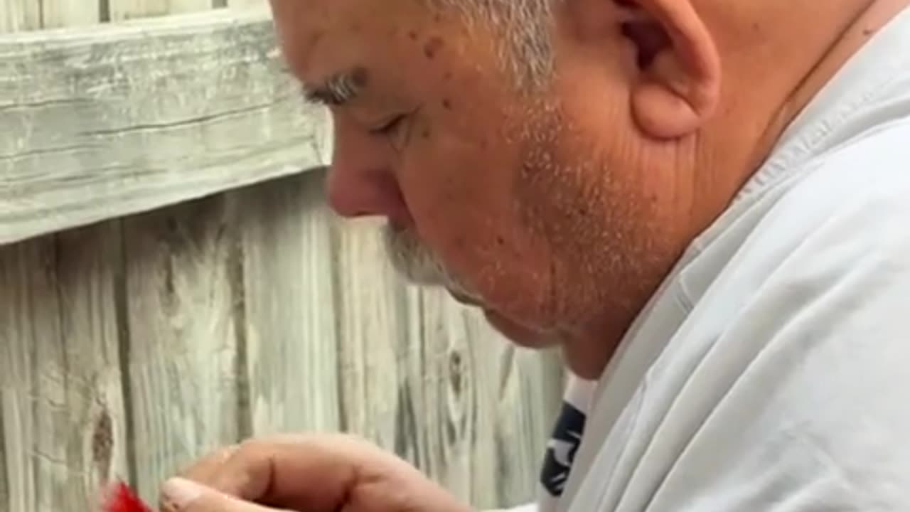 😂🌳 This Tree's Reaction is INSANE! | FunFM
