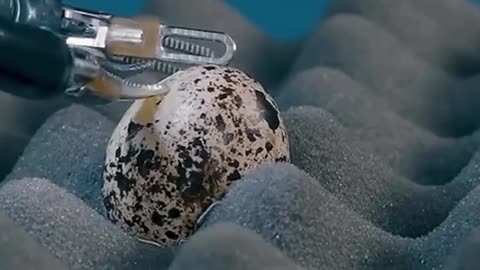 🤯✨ Robot Performs Perfect Surgery on Egg Without Breaking It! | FeedMyCuriosity