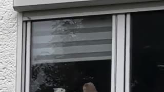 It's the eye of the pussy! Fight fight fight!