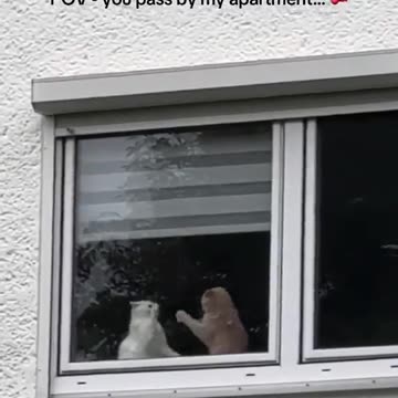 It's the eye of the pussy! Fight fight fight!