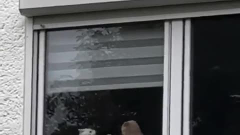 It's the eye of the pussy! Fight fight fight!