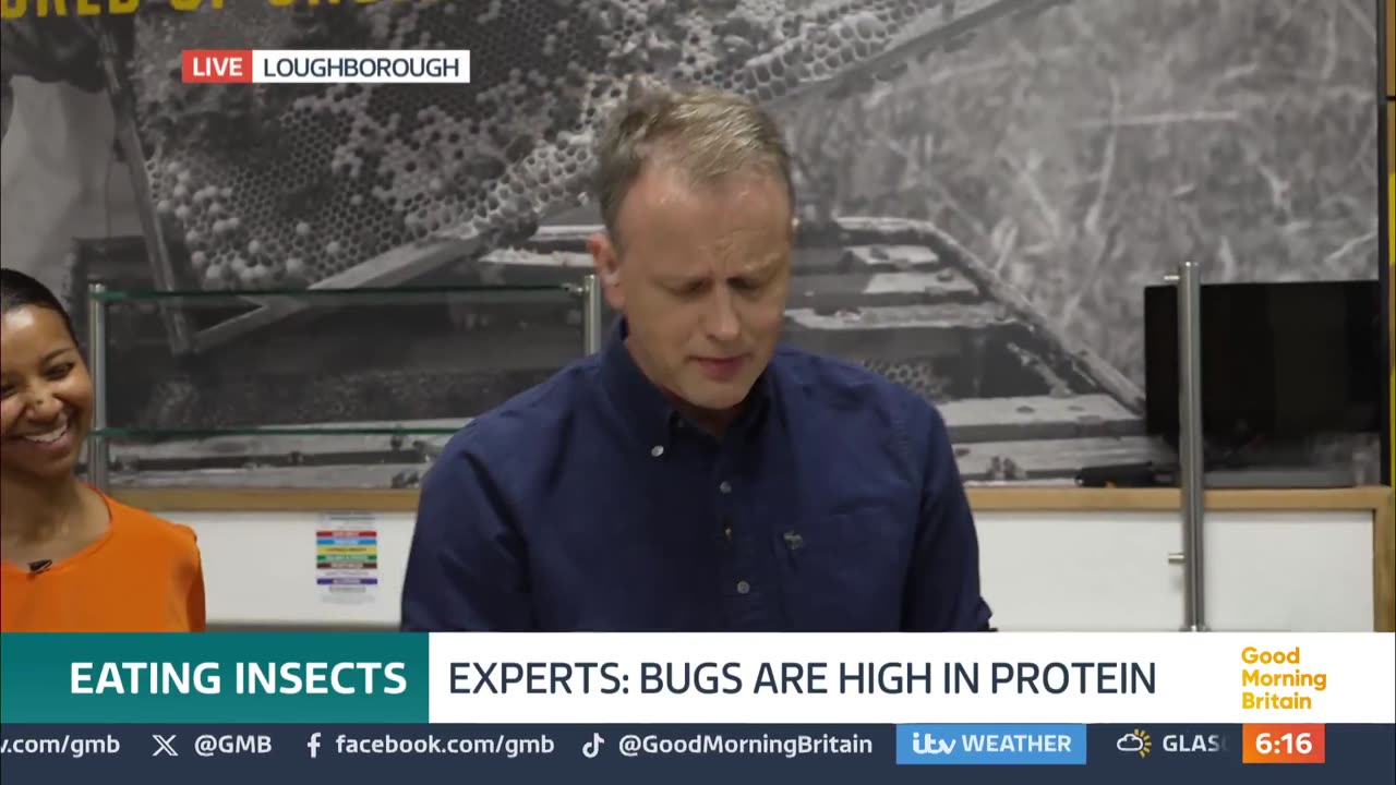 Campaigners Push Crickets and Ants as ‘Nutritious’ Protein for Your Diet