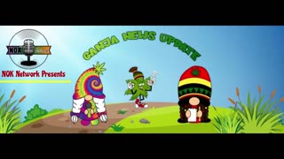 Ganja News Update Tonight