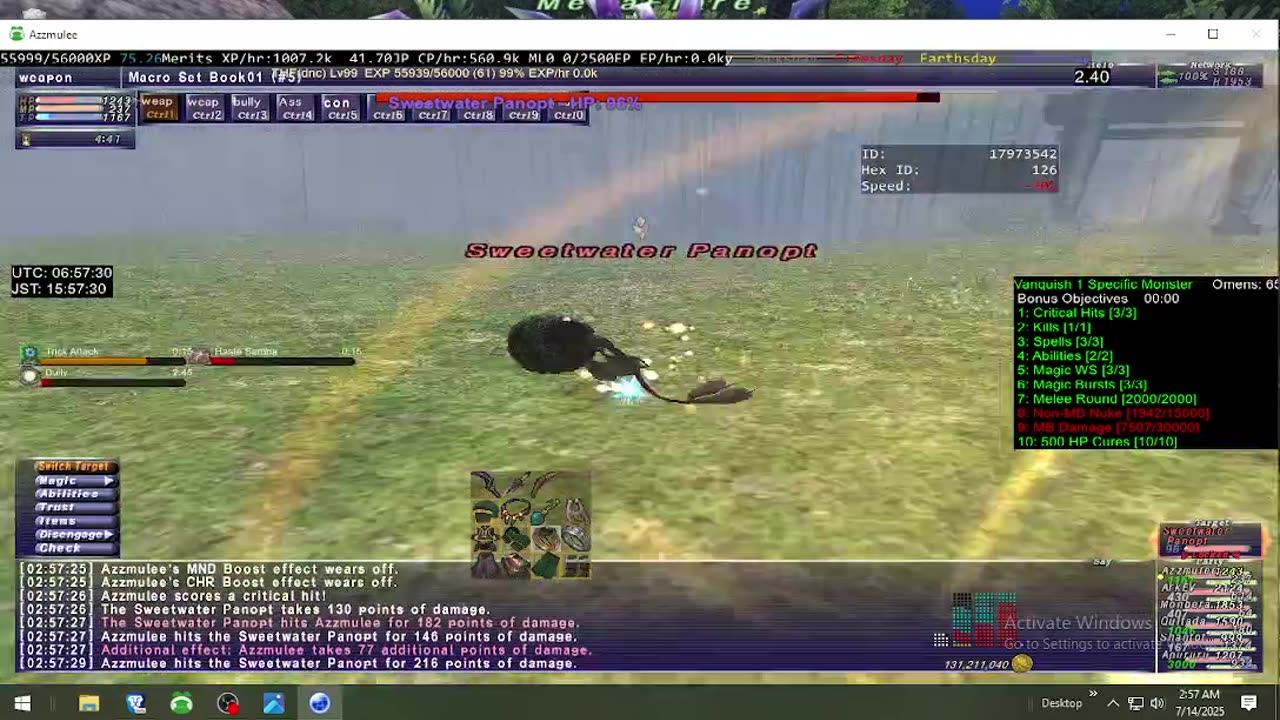 Playing Final Fantasy XI Online