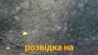 🐶🛡️ Ukraine Russia War | Brave Ukrainian K-9 Unit Guards Frontline | RCF