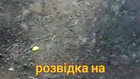 🐶🛡️ Ukraine Russia War | Brave Ukrainian K-9 Unit Guards Frontline | RCF