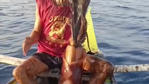 😂 This Squid's Got Moves! | FunFM