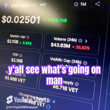 vechain vet crypto price prediction #fyp