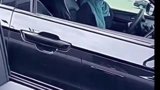 Crazy Women Jumped in to Passenger Seat to Yell