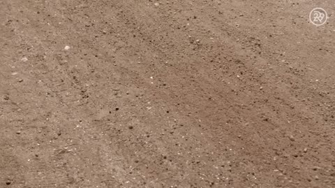 The Dark Secret Behind Your Favorite Makeup Products