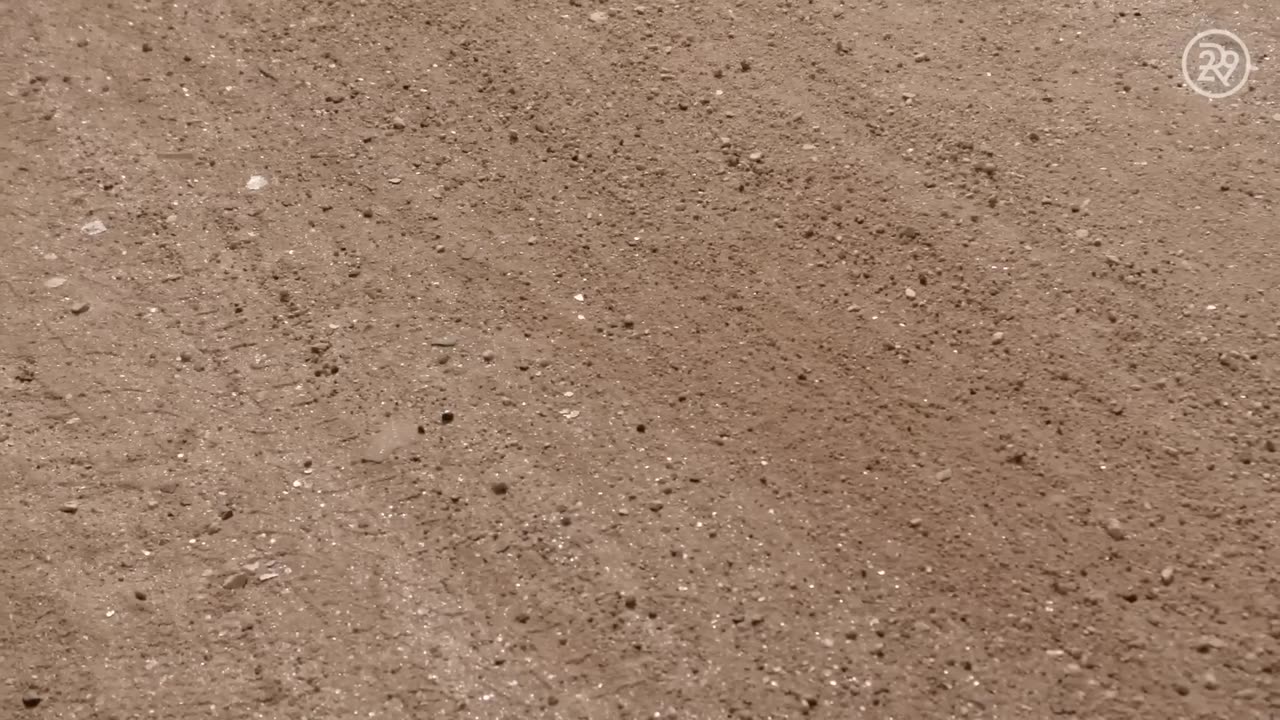 The Dark Secret Behind Your Favorite Makeup Products