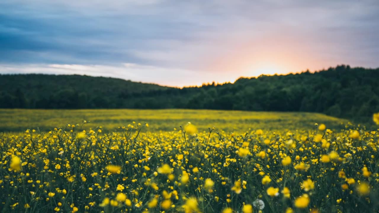 Stunning Beautiful Nature with Ambient Music