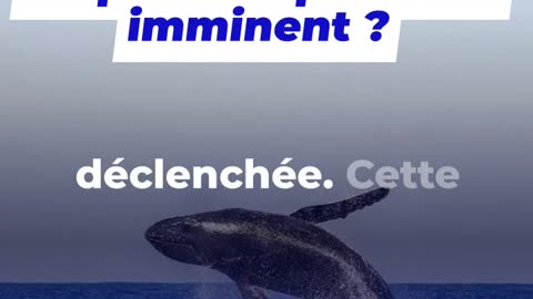 Whale mise 332 M$ contre le Bitcoin : risque de liquidation imminent ?