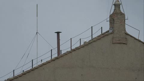 Vatican’s Moment: Conclave Doors Close as Search for New Pope Begins