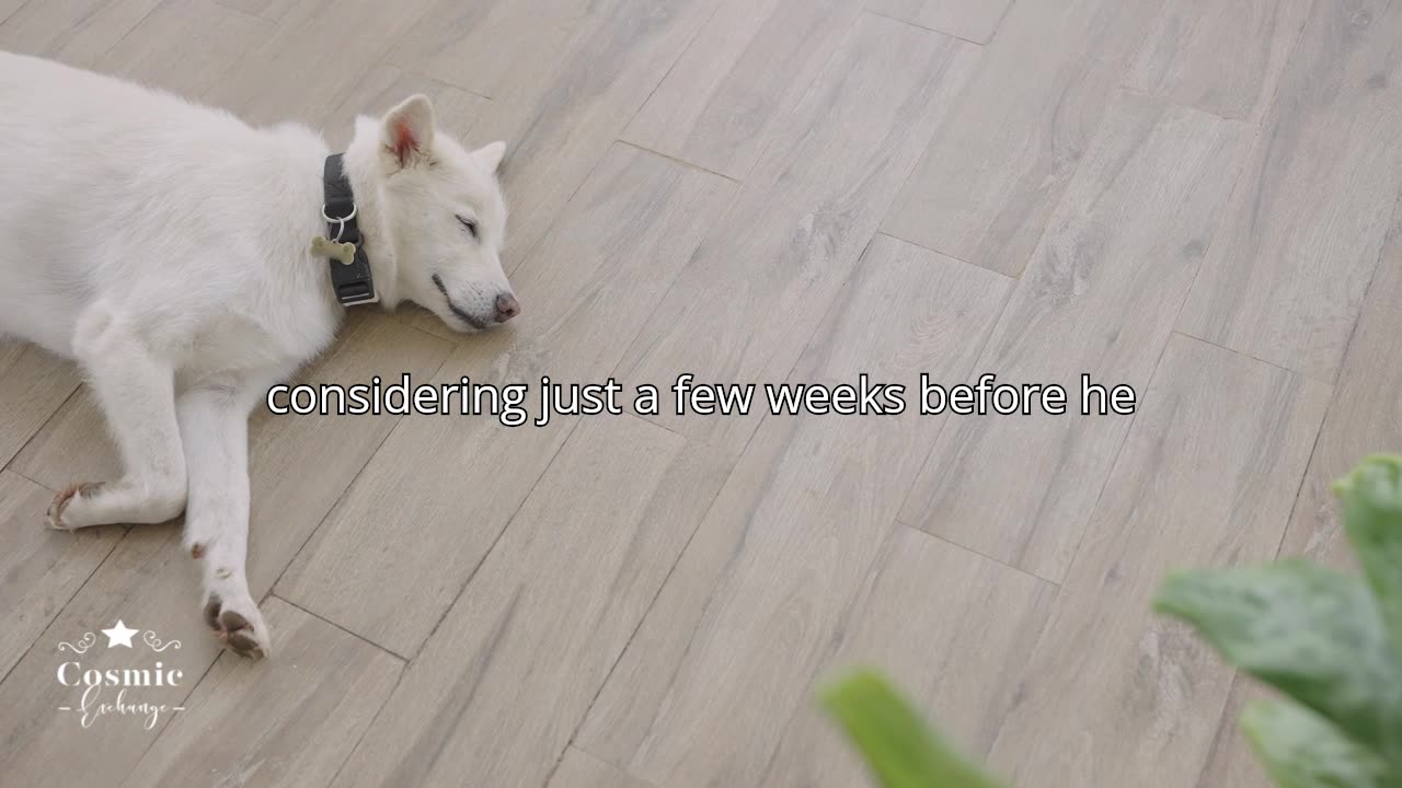Am I the asshole because I told my ex-husband he can’t get a new dog until I move out?