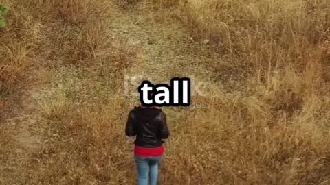 Tragic Discovery: Camila Mendoza Olmos Case Update