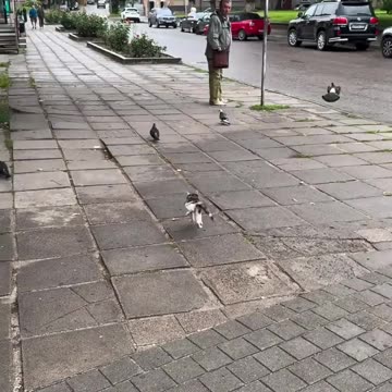 She Didn't Catch One But She Sure Caught Everyone's Attention