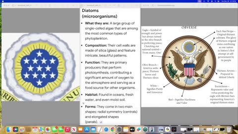 Soul and the soulless - Argenti Tunica Mauri Lucent_ Aseer The Duke of Tiers