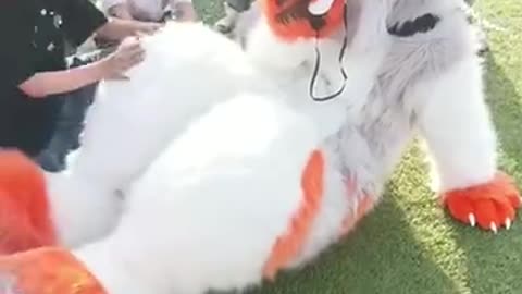 救命，狼出不去了