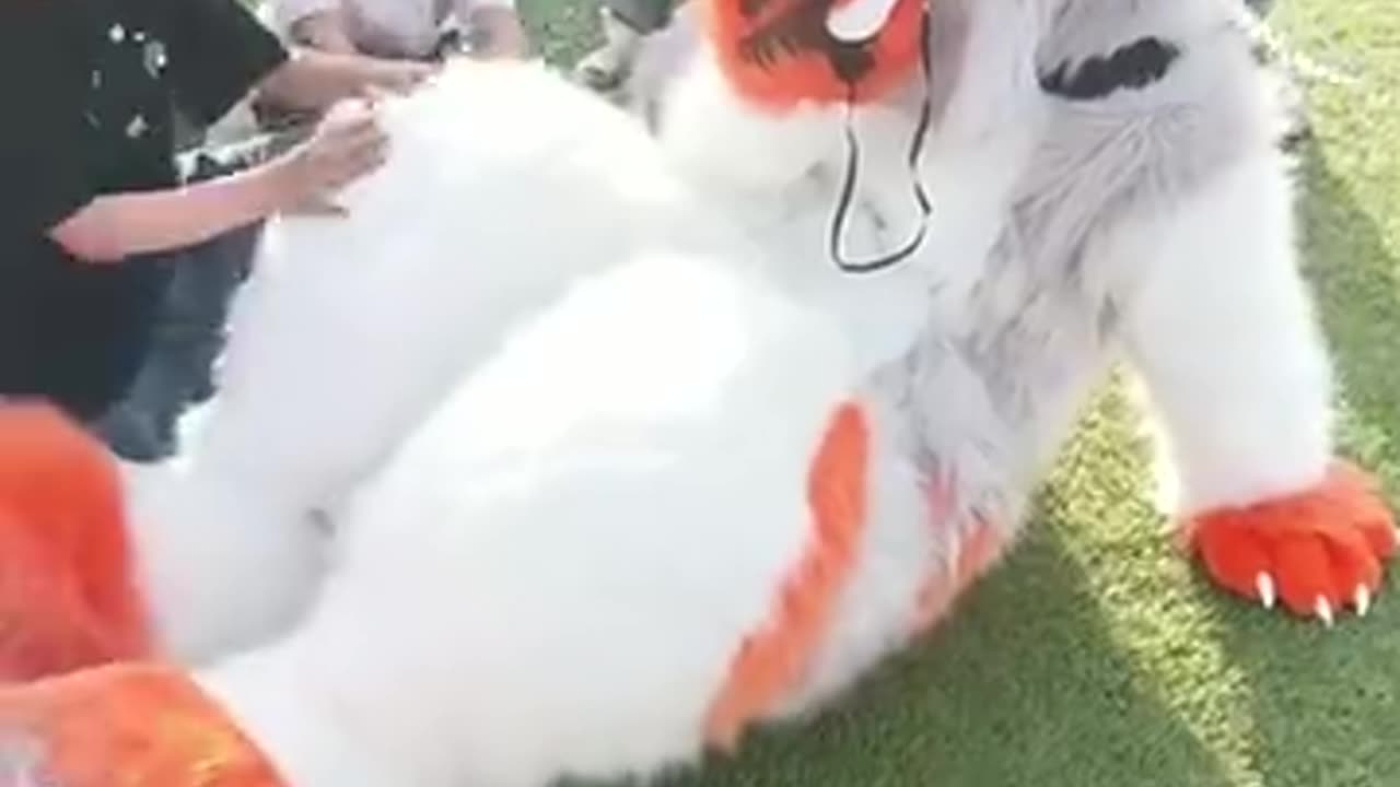 救命,狼出不去了
