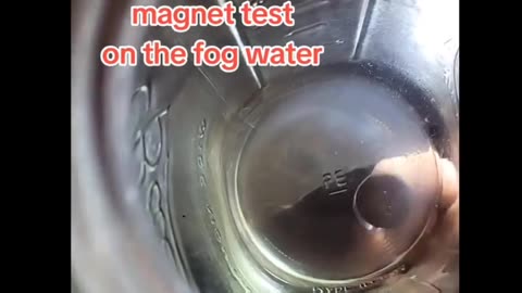 The Fog Is Still Here...