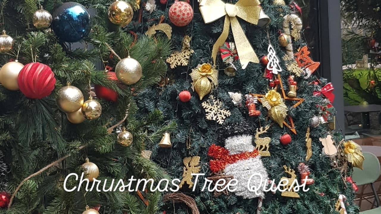 BHI Christmas Tree Quest part 2