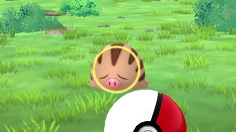 even my internet wouldn't let me catch this