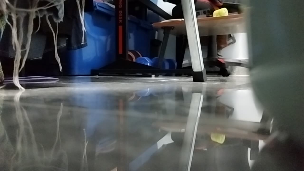 CAT small
