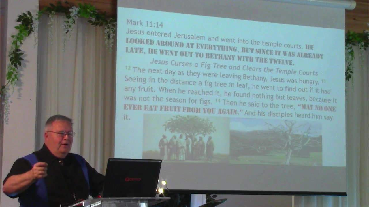 The Puzzle of Palm Sunday