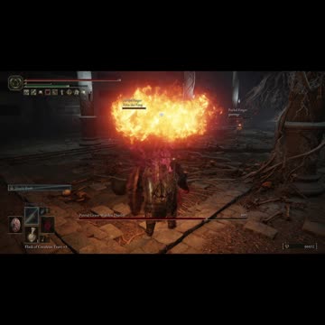 Elden Ring PC | Putrid Grave Warden Duelist boss co-op w/2 cooperators on NG #shorts #eldenring