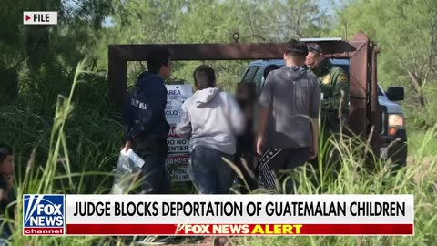 📌Leftist Judge blocks deportation of illegally trafficked Guatemalan children